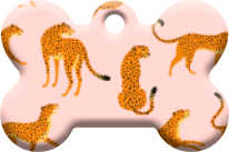 Gatos_60